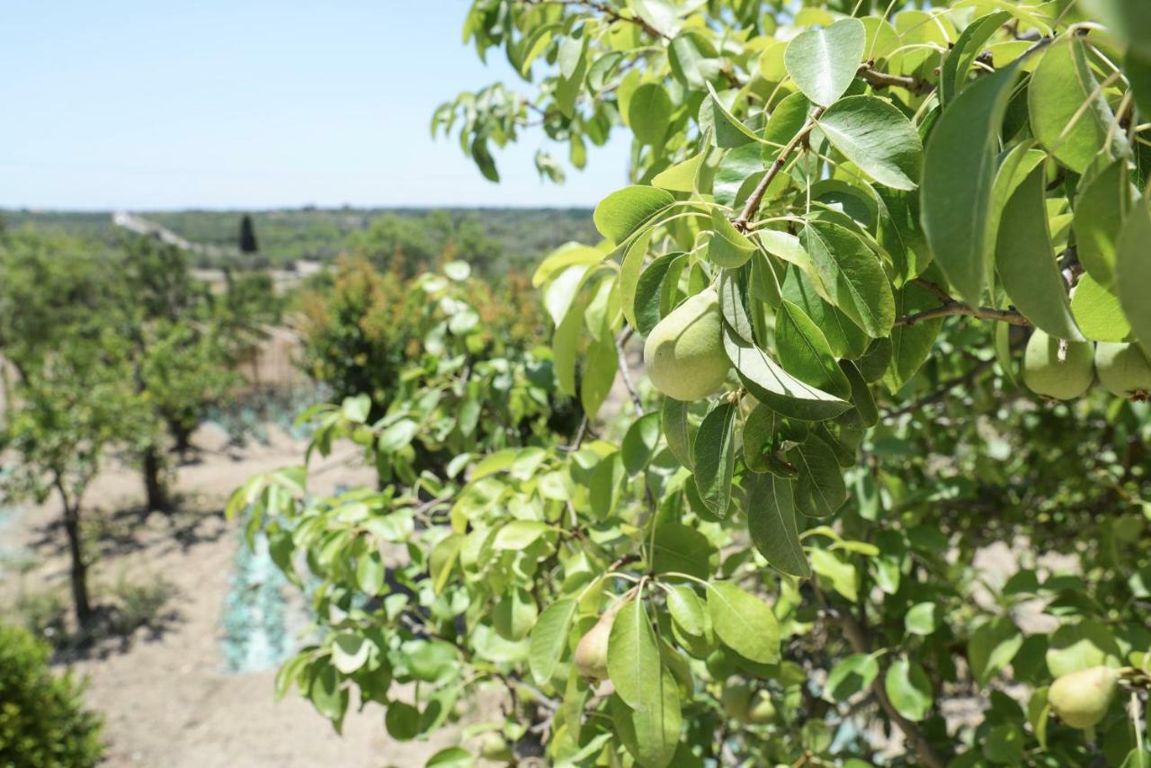 Maison d'hôtes Jardinu à Noto Extérieur photo