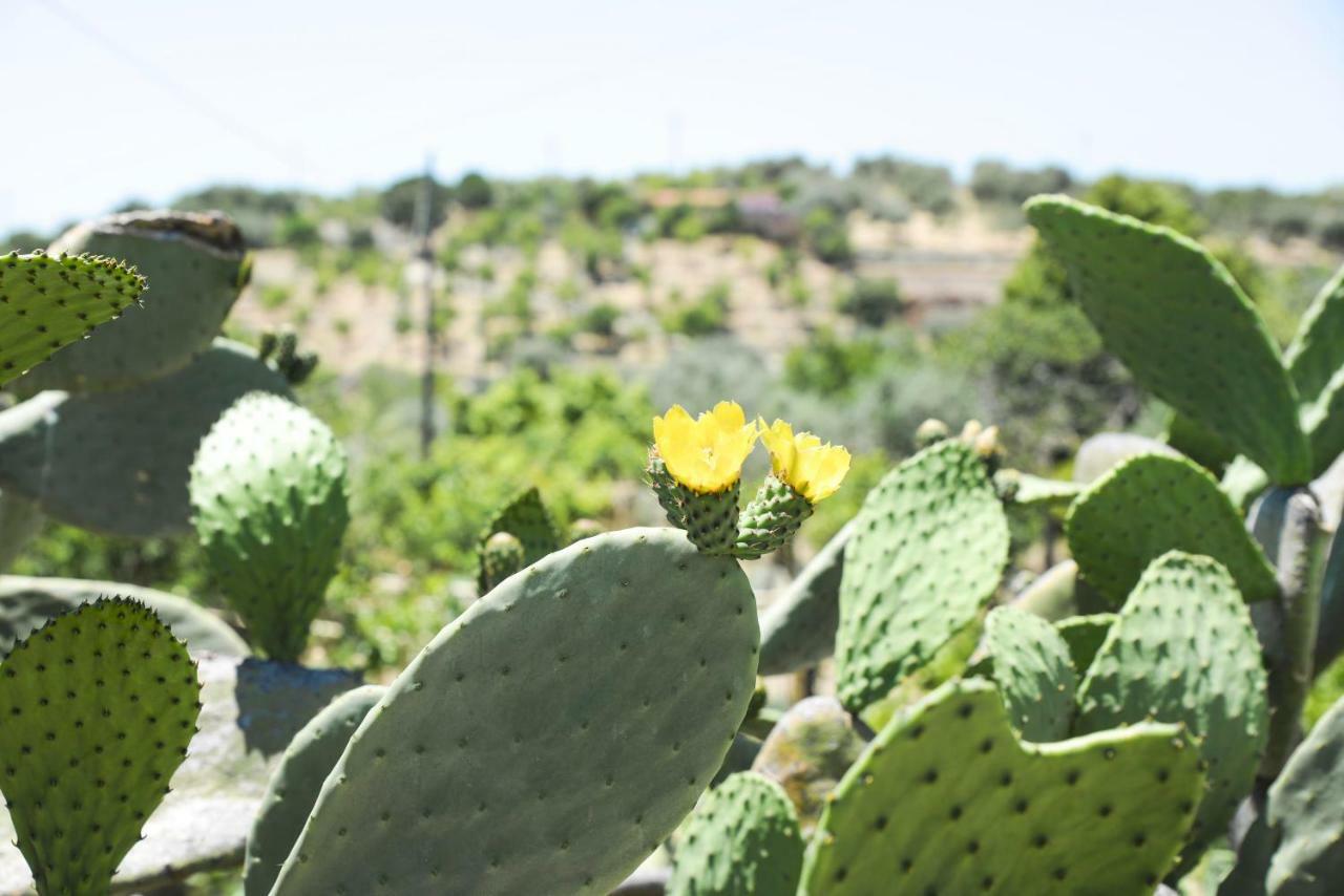 Maison d'hôtes Jardinu à Noto Extérieur photo