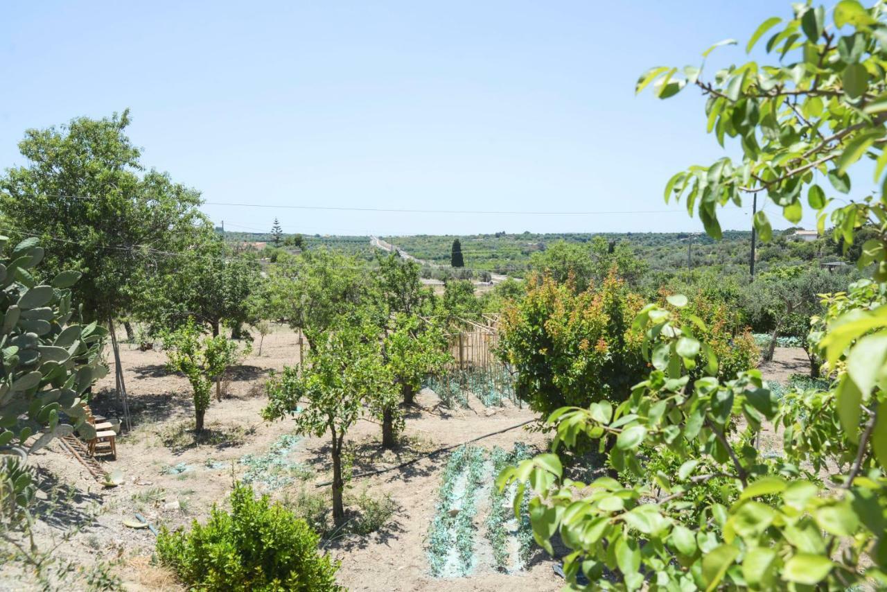 Maison d'hôtes Jardinu à Noto Extérieur photo